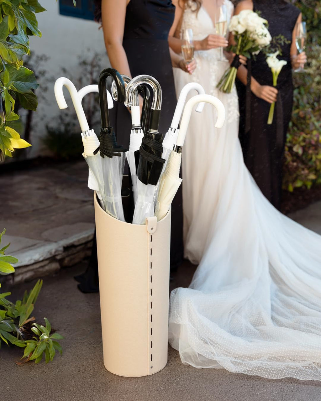 Clear Bubble Umbrella, Auto Open, See-Through, Ivory Trim
