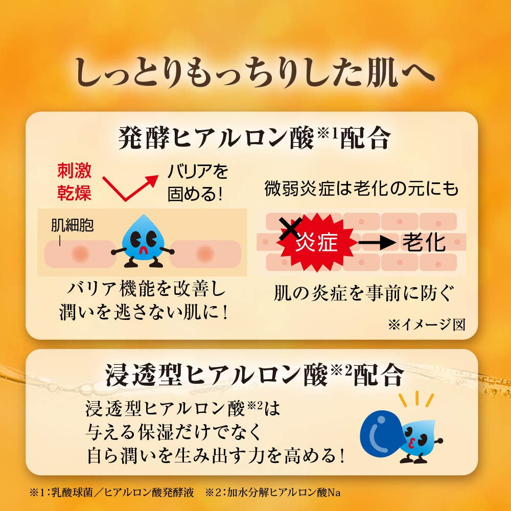 Hada Labo Gokujun Premium Hyaluronic Acid Refill Beauty Essence 170Ml
